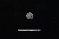 藏品(板岩片)的圖片